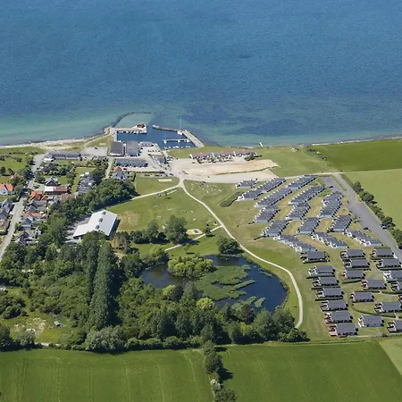 Sohus * Faebaek
